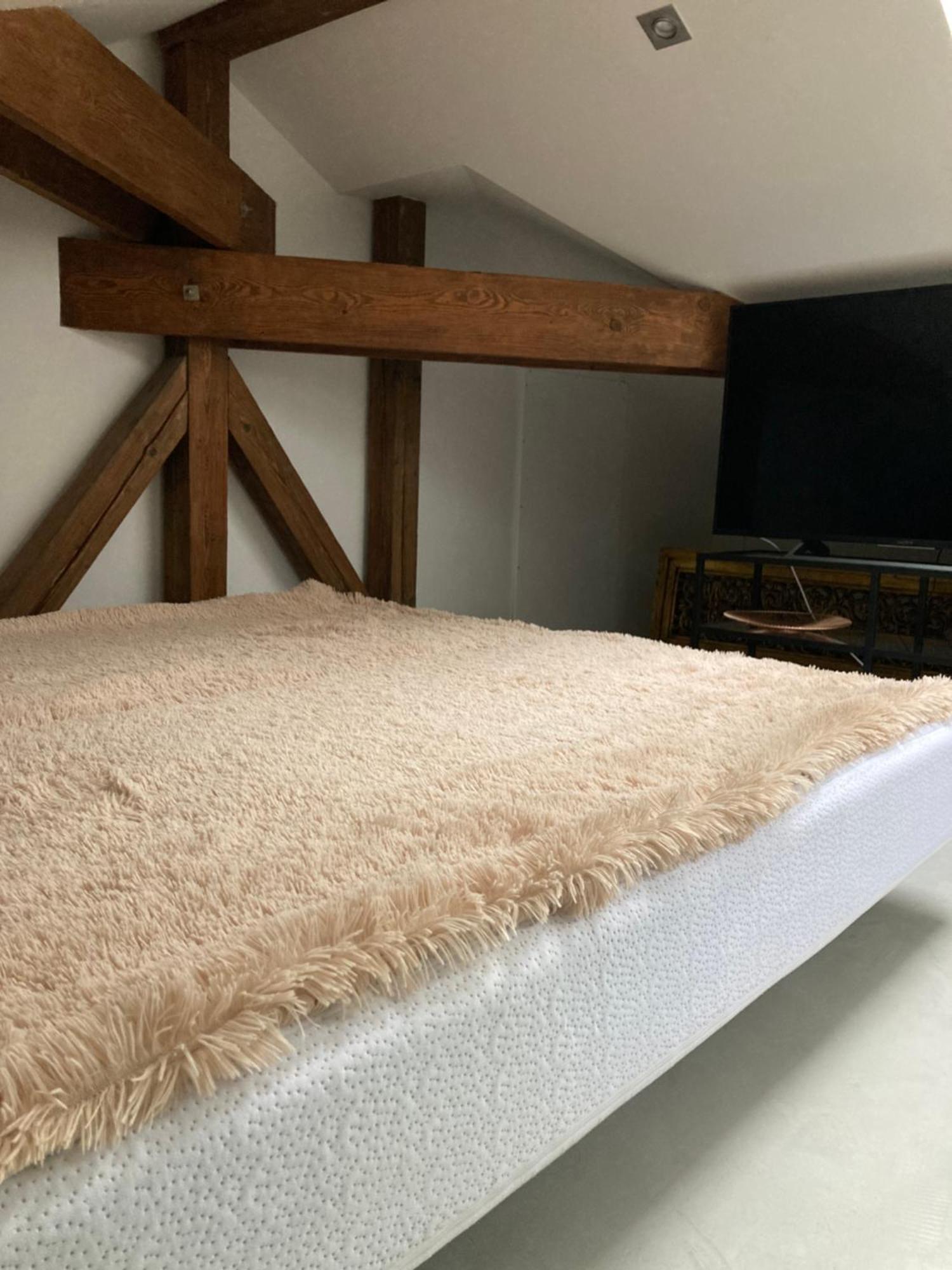 Villa Bricola - Boutique Apartments Karlovy Vary Dış mekan fotoğraf